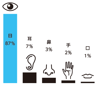 人が得る情報の8割は目（視覚）から得ている